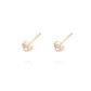 Aros de Oro 18kt Corazón Circón - Miniatura 2