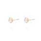 Aros de Oro de 18kt Circón solitario 5mm - Miniatura 2
