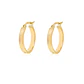 Aros de Oro 18kt Argollas Mediana Satinada - Miniatura 1