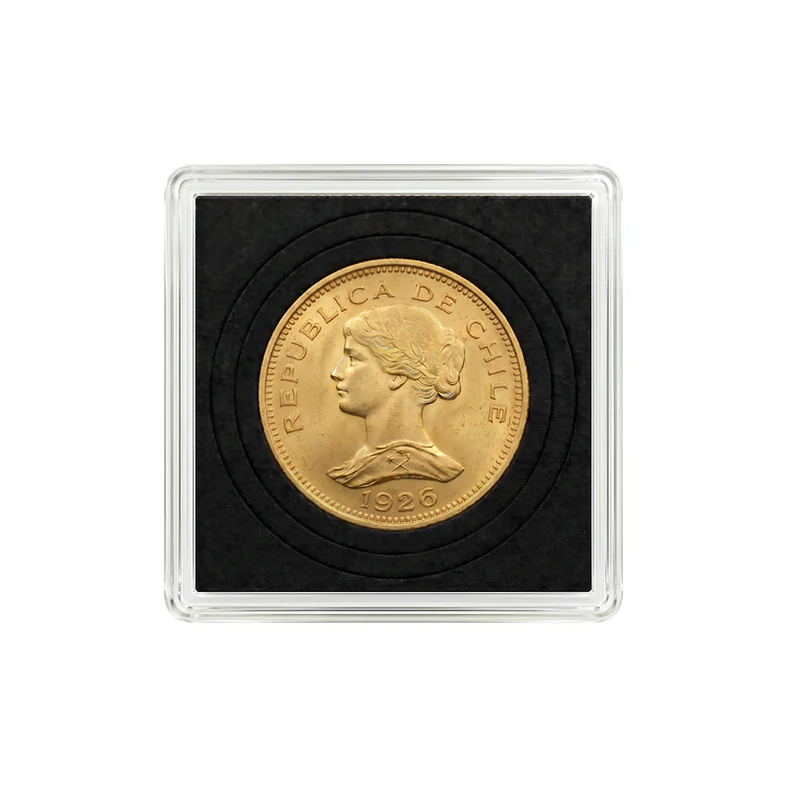 Moneda de Oro Chilena Colección 100 pesos año 1920 al 1929 3