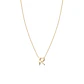 Collar de Plata Esterlina 925 Letra R Revestido en Oro 18kt - Miniatura 3