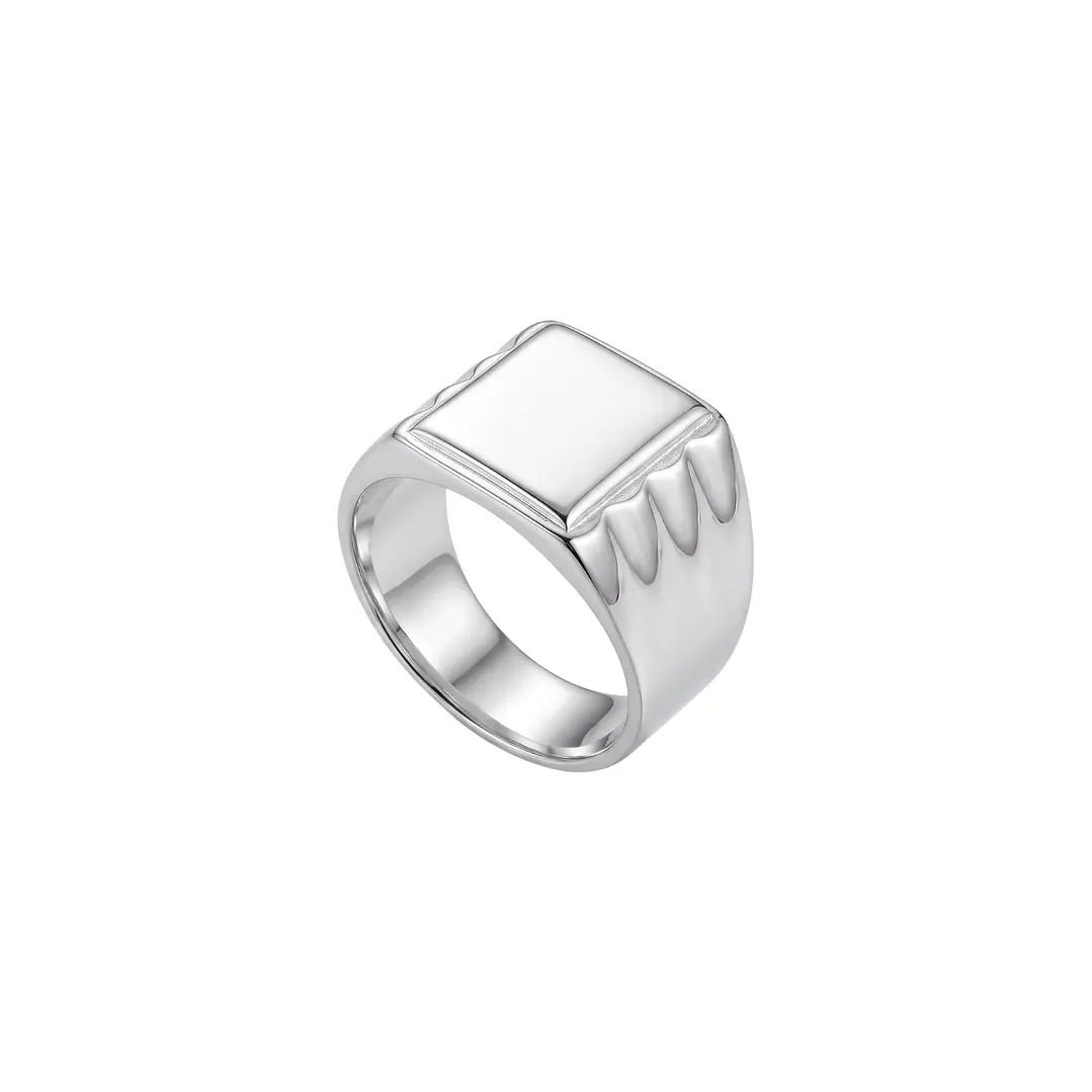 Anillo de Plata Esterlina 925 Sello Masculino 2