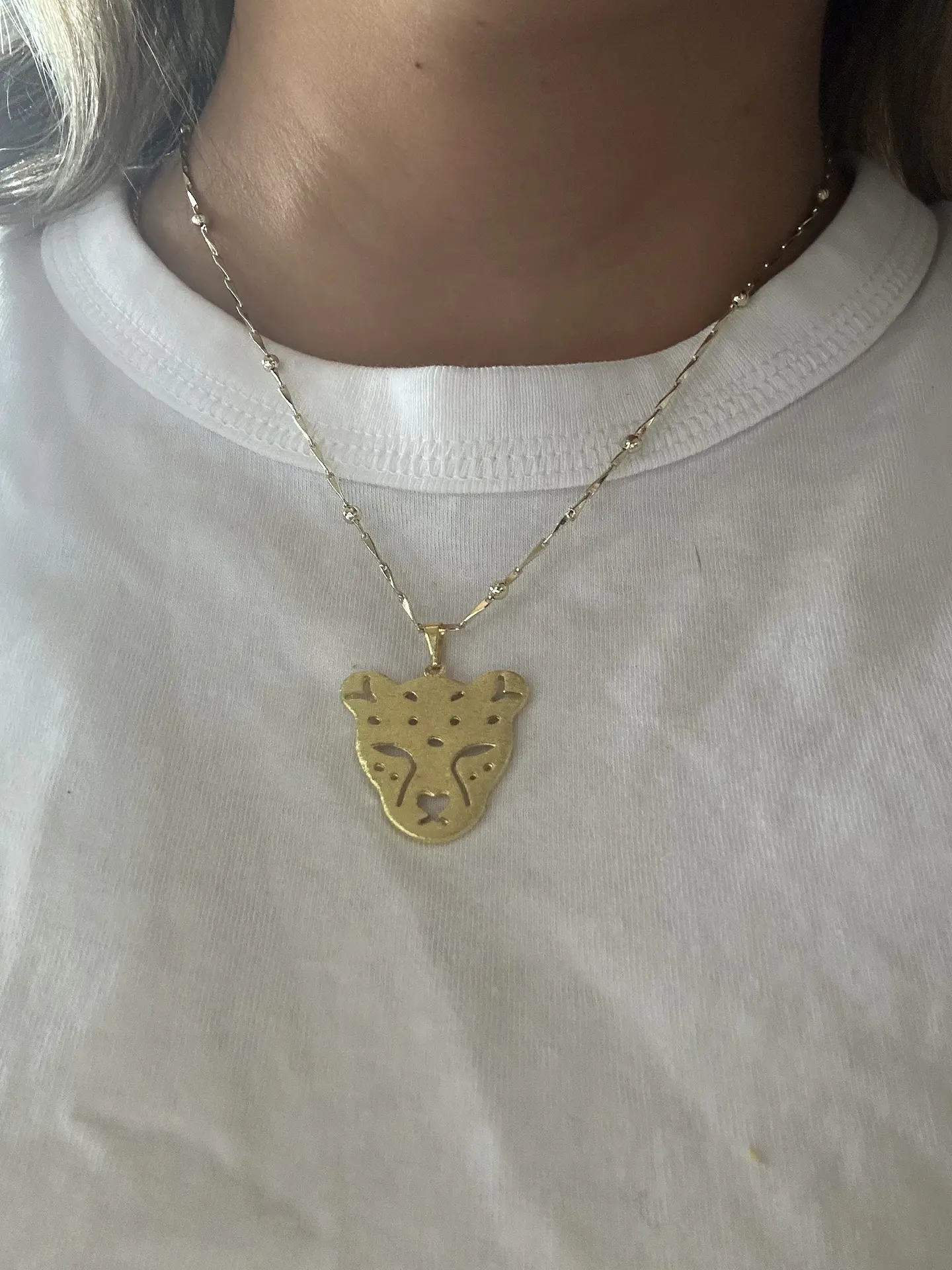 Collar leopard 3