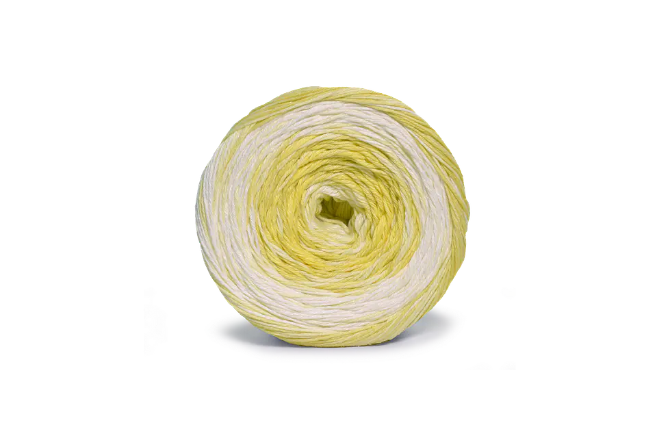 Whoopee 6