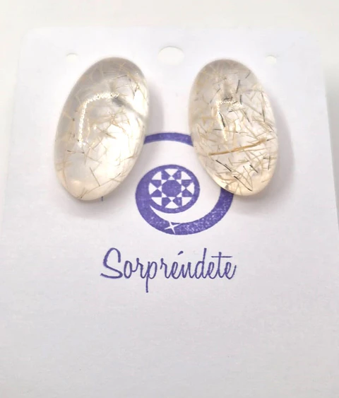 Nido transparente