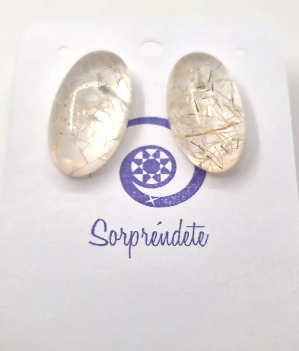 Nido transparente 1