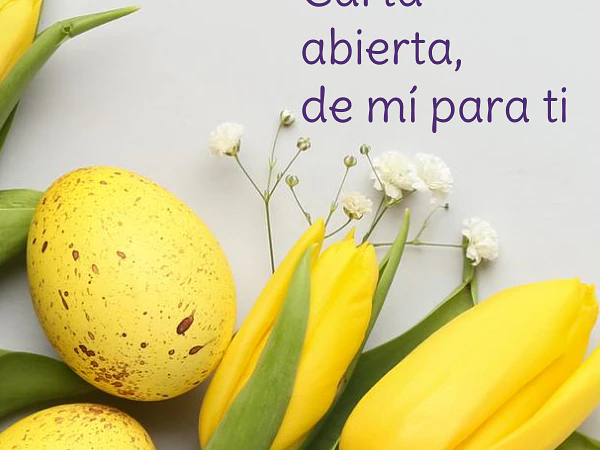 Carta Abierta, de mí para ti
