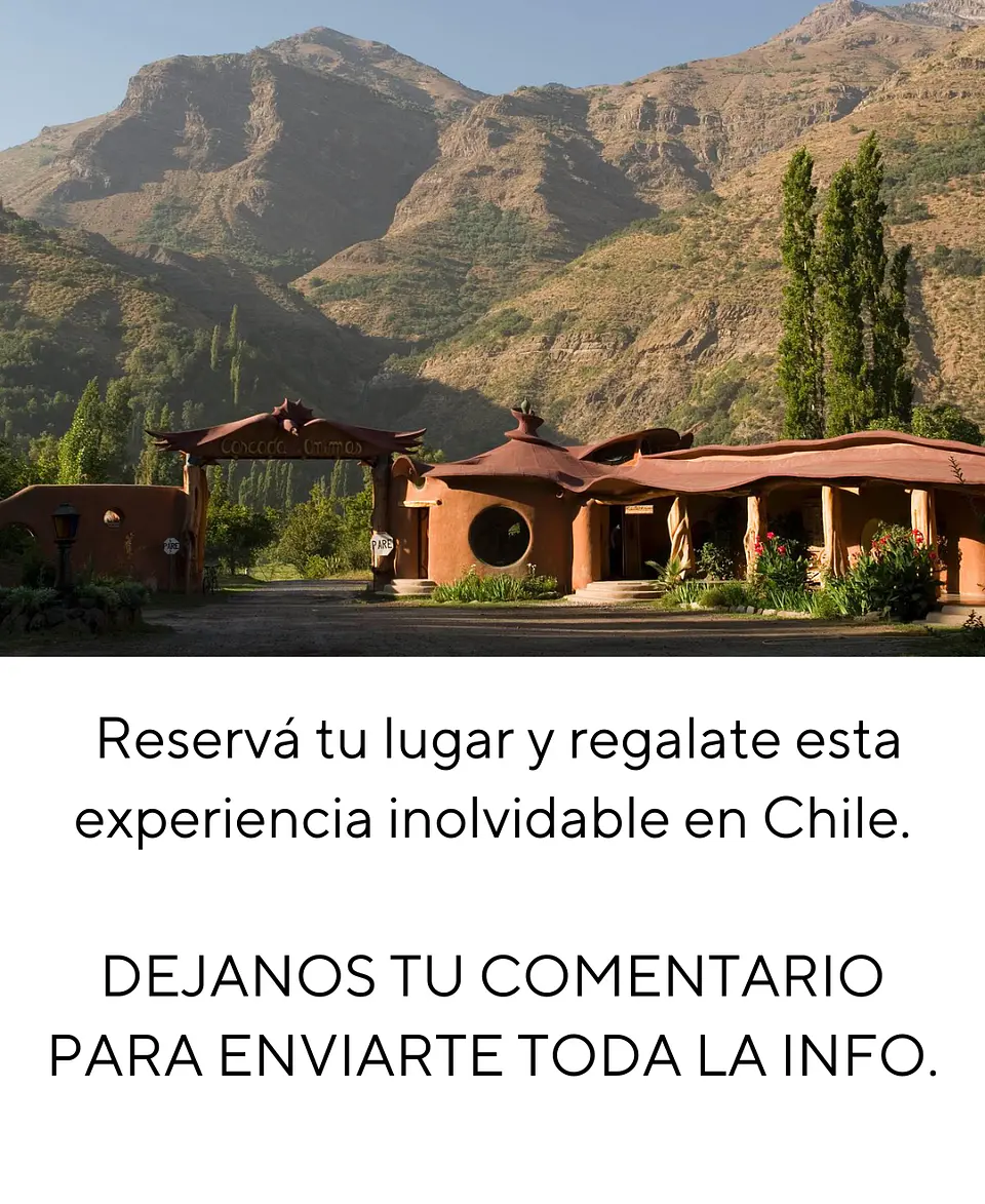Retiro tejeril Cajón del Maipo 9