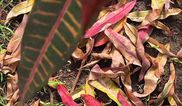 Disfrutar el tejido en otoño 