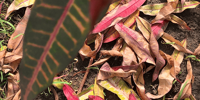 Disfrutar el tejido en otoño 
