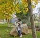 Patrón Ruana de Otoño - Miniatura 2