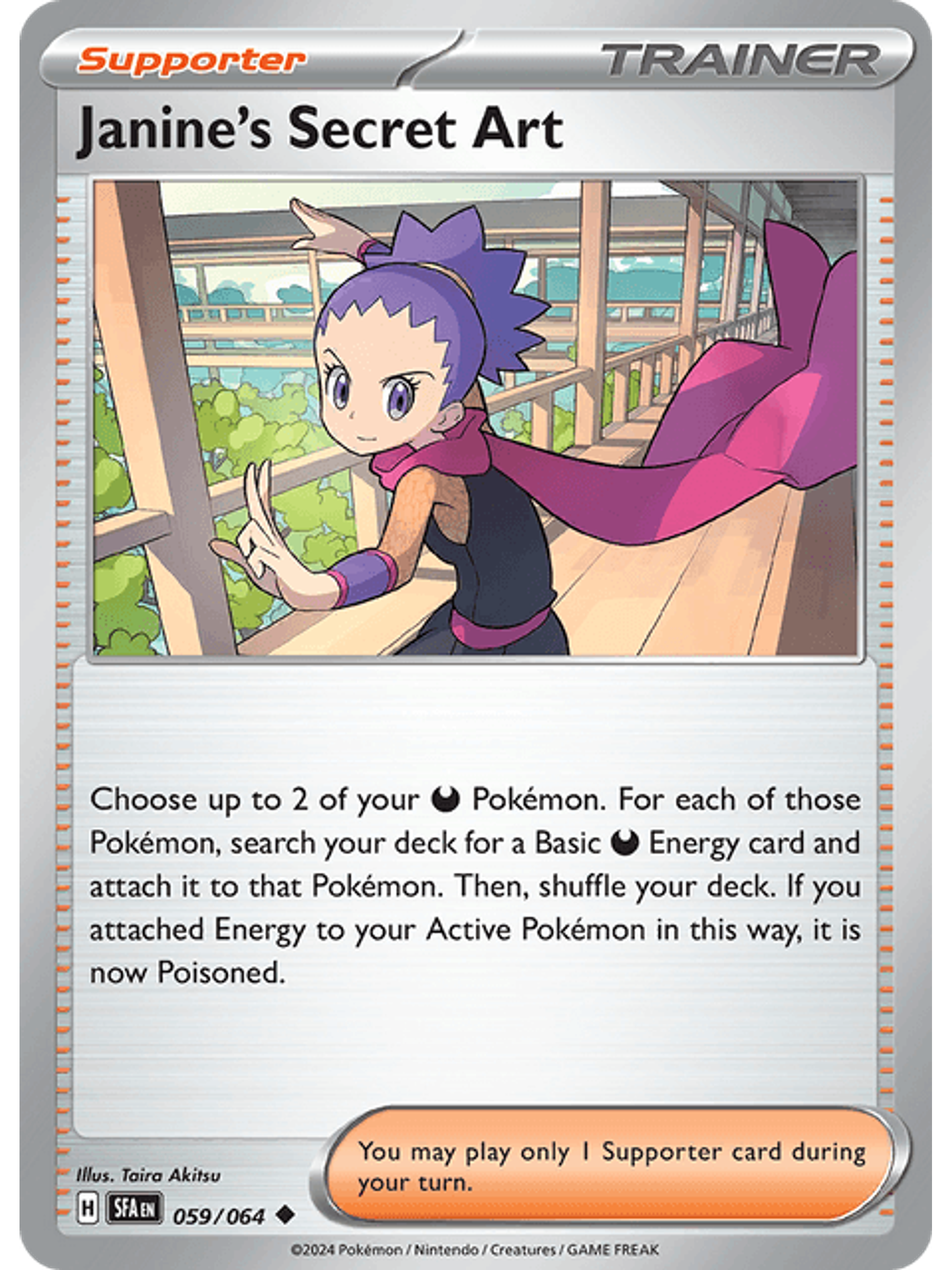 Janine's Secret Art 1