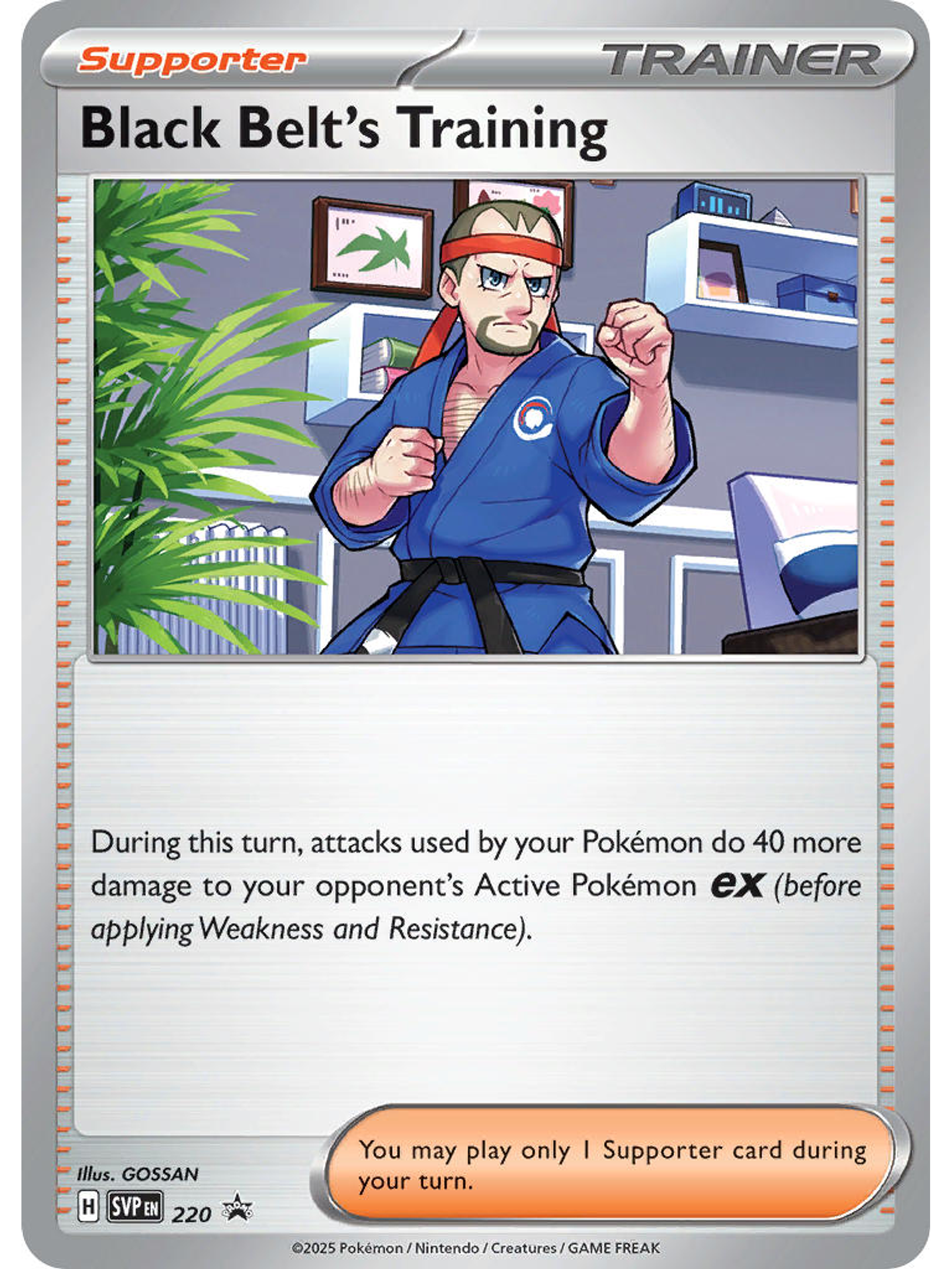 Black Belt's Training 2