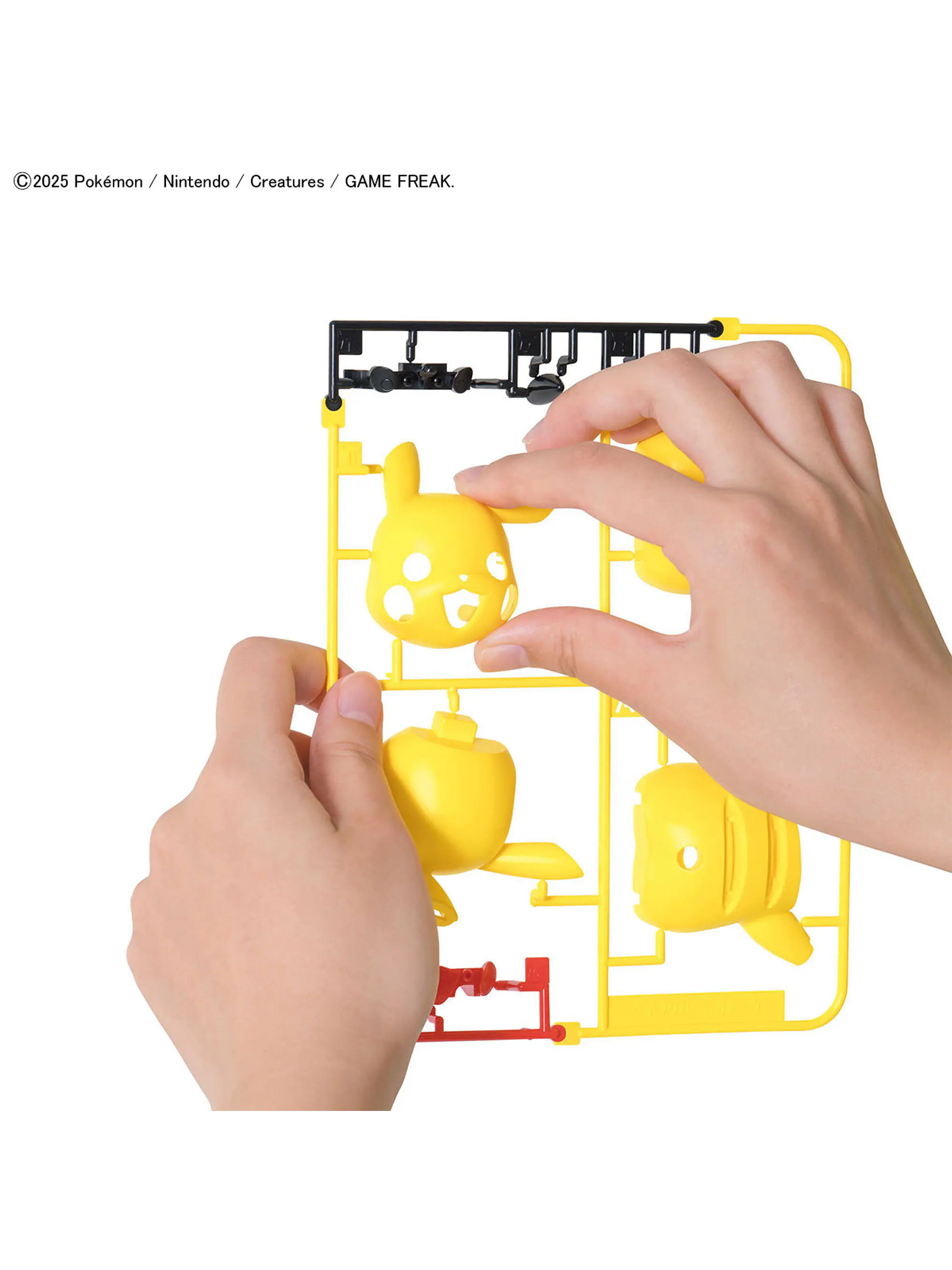 Pikachu - Model Kit QUICK!! - Bandai  3
