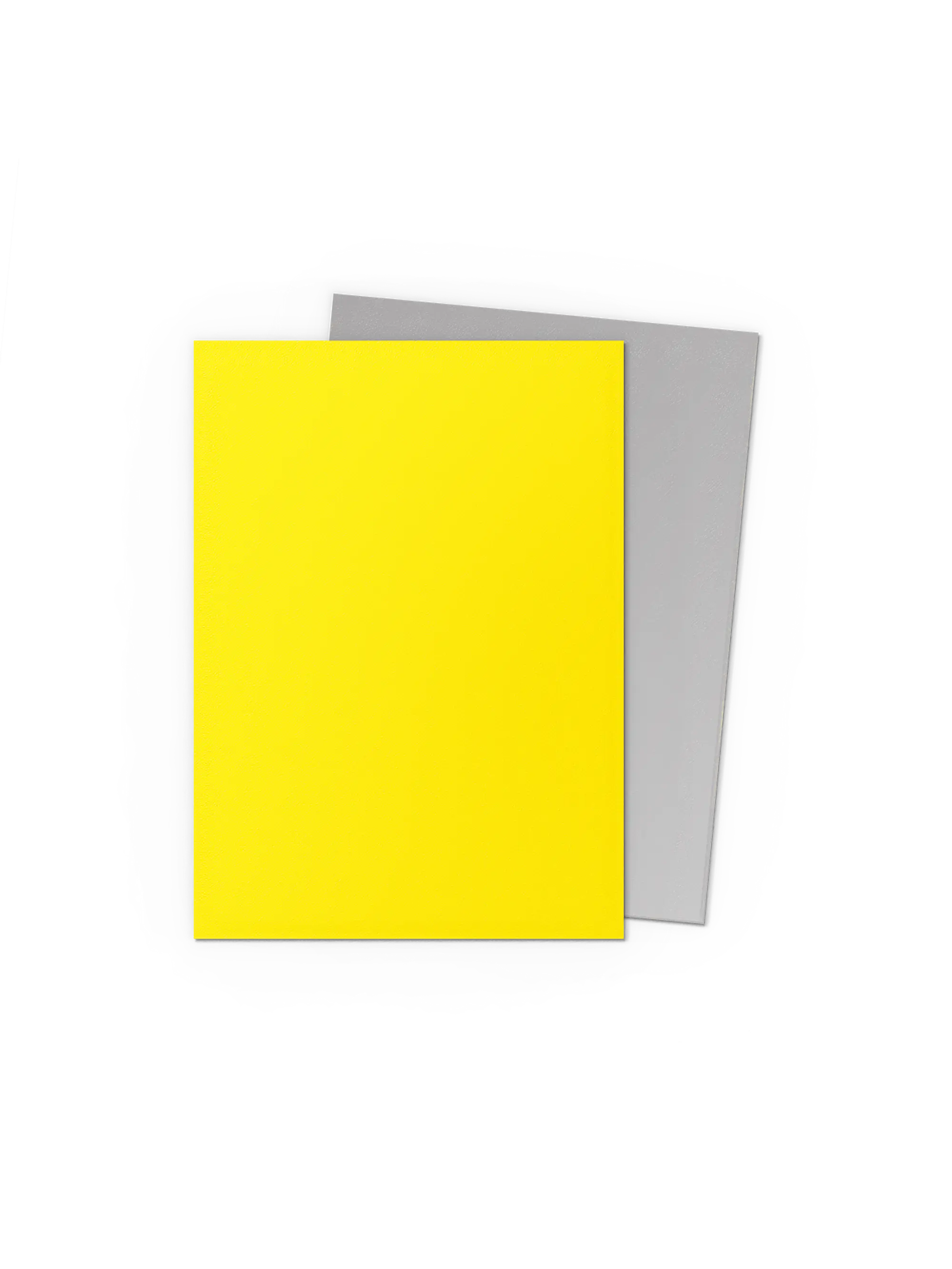 Protectores Standard - Matte Dual - Yellow & Silver - Dragon Shield  2