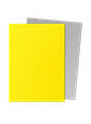 Protectores Standard - Matte Dual - Yellow & Silver - Dragon Shield  - Miniatura 2