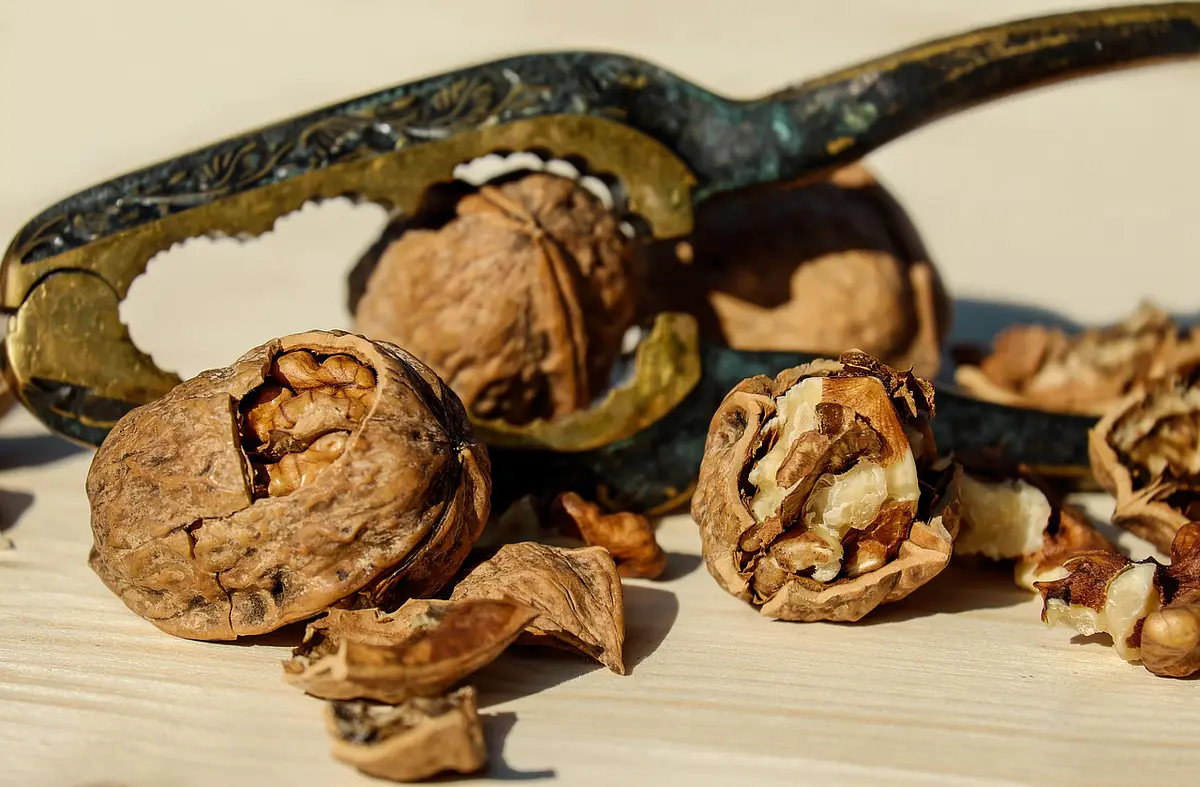 Frutos secos para disfrutar