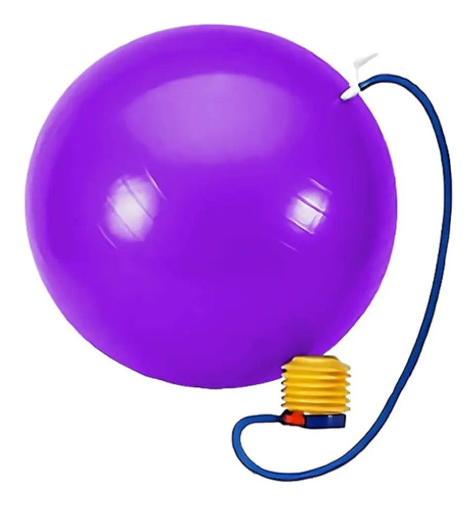 Pelota Balon Yoga 75 Cm Pilates Con Inflador  21