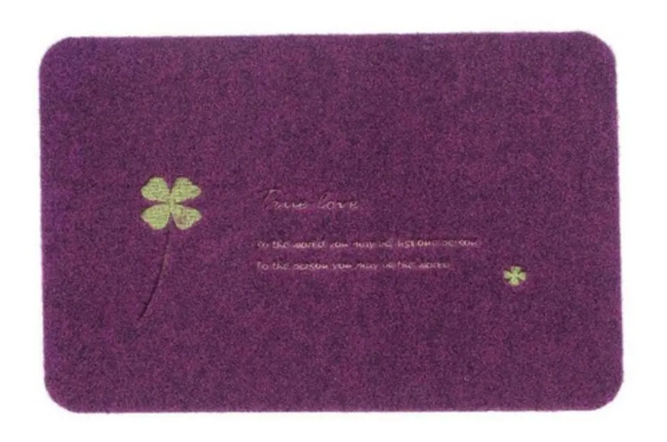 Alfombra Piso Limpiapiés 50 X 80 Cm 1