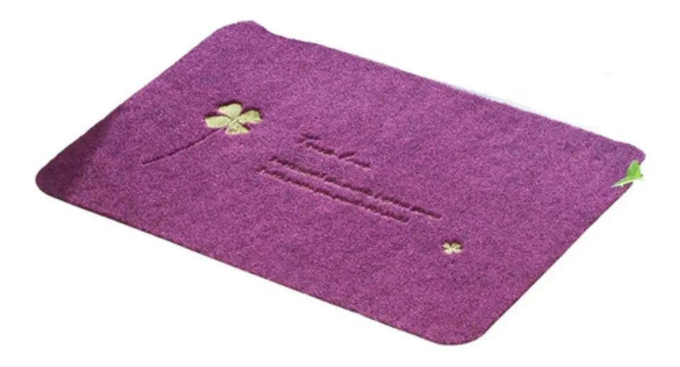 Alfombra Piso Limpiapiés 50 X 80 Cm 2