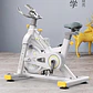Bicicleta Spinning 6 Kg Disco Control Magnético - Miniatura 3