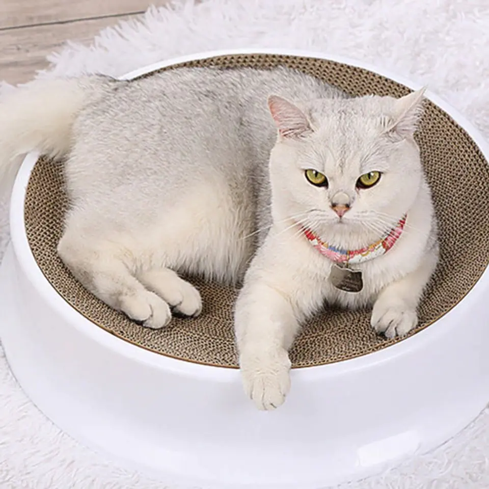Cama Rascadora Para Gatos Mascotas 44 Cm 2