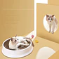 Cama Rascadora Para Gatos Mascotas 44 Cm - Miniatura 3