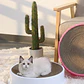 Cama Rascadora Para Gatos Mascotas 44 Cm - Miniatura 15