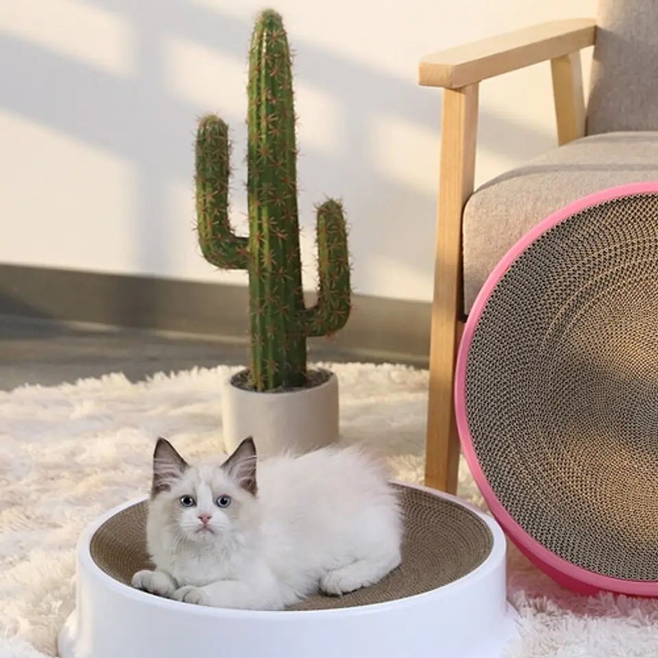 Cama Rascadora Para Gatos Mascotas 44 Cm 15