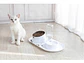 Tazon Comedero Bebedero Doble Para Mascota Gatos Y Perros  - Miniatura 8
