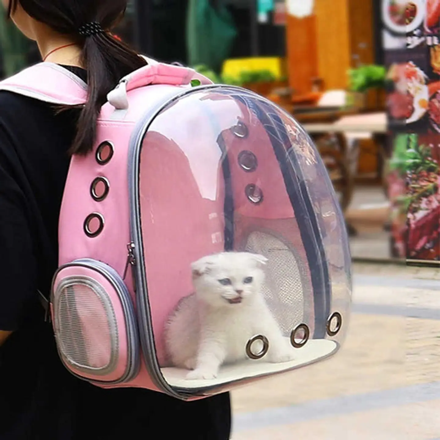 Mochila Transportadora De Gato Perro Mascotas 24