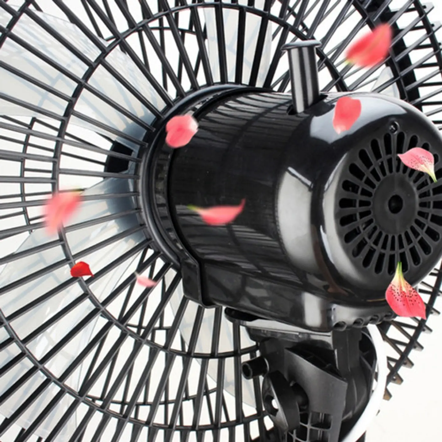 Ventilador De Pie Con Control Remoto 5 Aspas 220v 7