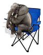 Silla De Camping Playa Plegable Con Posavasos Y Reposabrazos - Miniatura 4