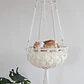 Hamaca Cama Colgante Para Gato Perro Mascotas - Miniatura 2