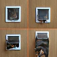 Puerta Silenciosa Con Solapa Gato Para Interior Exterior - Miniatura 6