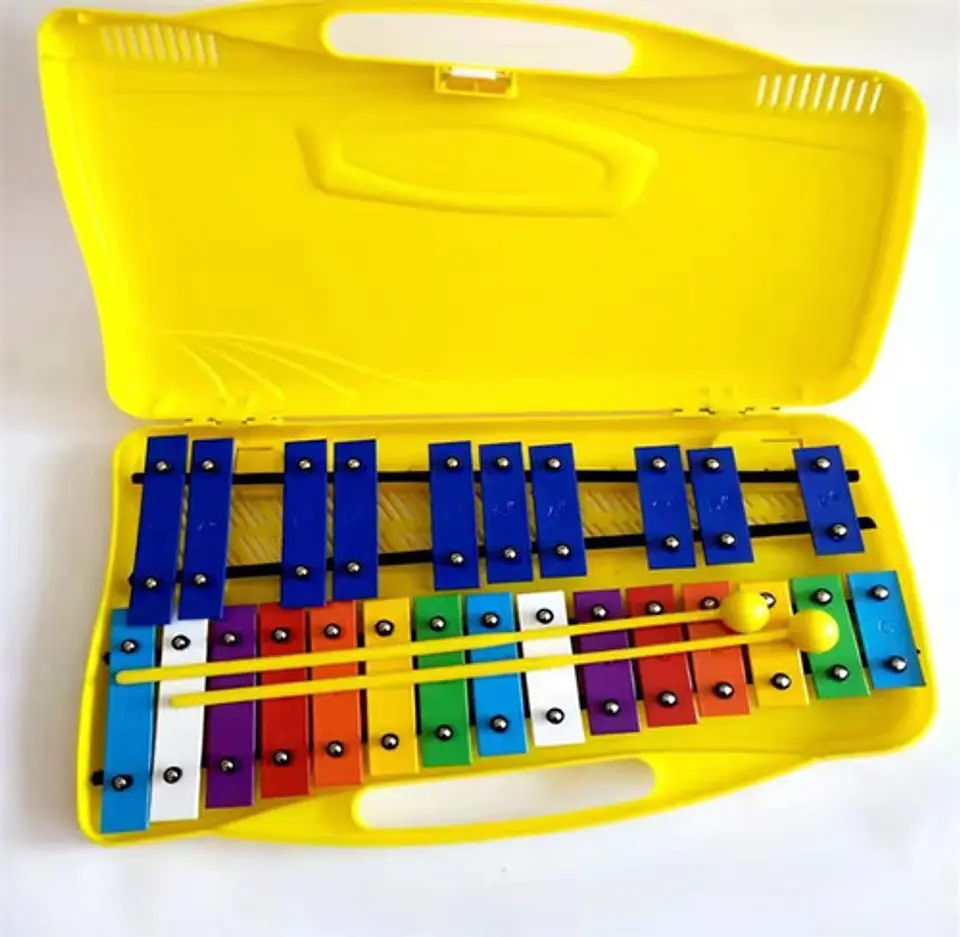Metalófono 25 Notas Cromático Placas Colores Didáctico 4