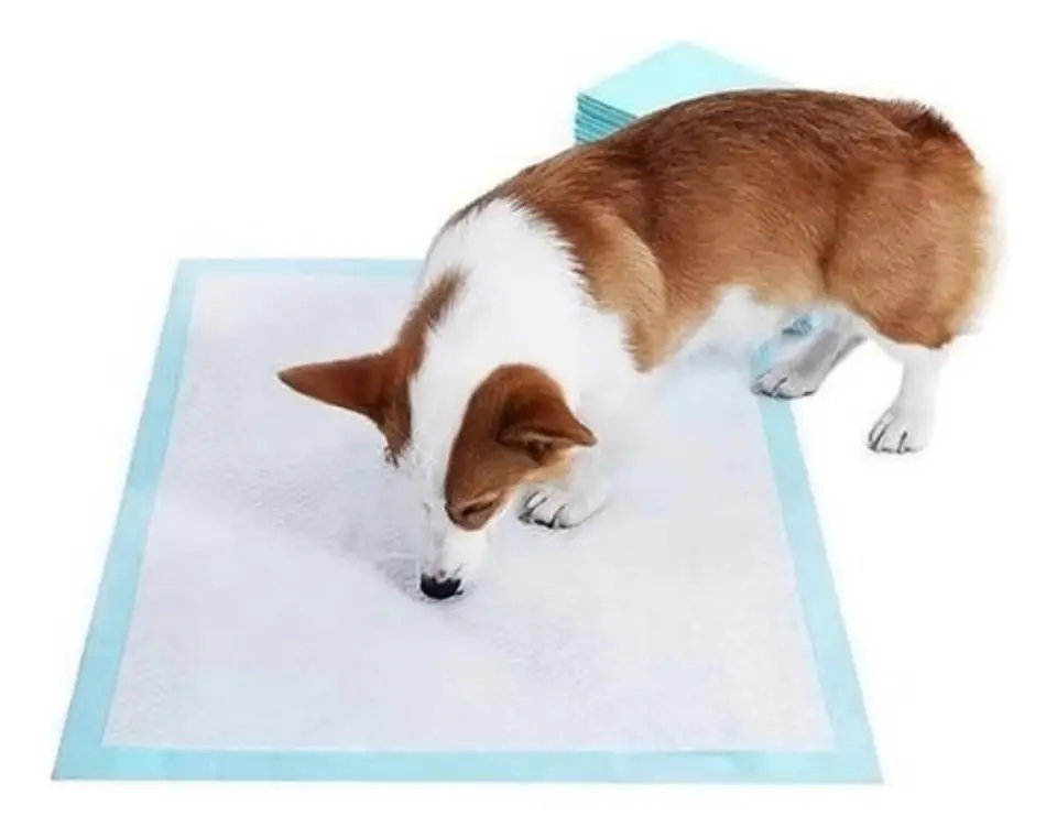 100 Alfombrillas De Entrenamiento Pañales Mascotas 60x60cm 2