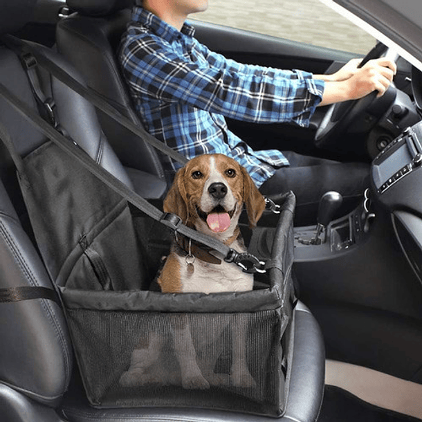 Correa ajustable del gato del perro del cinturón de seguridad del coche del  perro del color sólido para el viaje al aire libre del coche