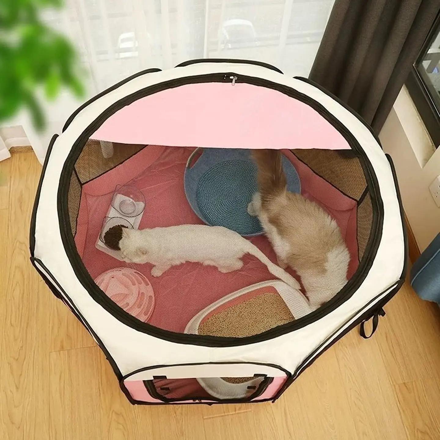 Corral Nido Plegable para Mascotas Casa Impermeable XL 3