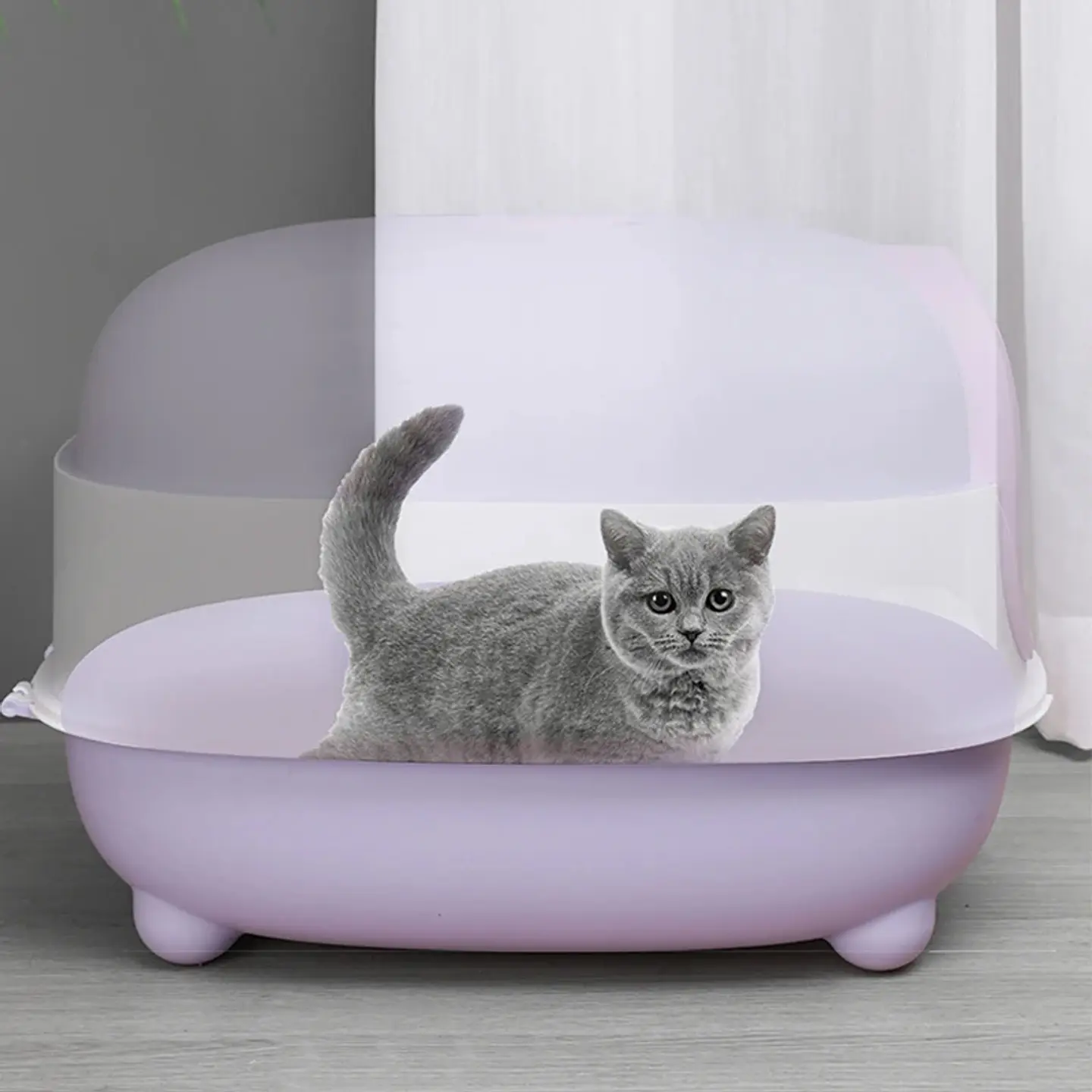 Caja de Arena Plegable Completa Para Gato 6