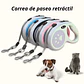 Correa Retráctil Para Mascotas Paseo Perro Gato 5 Metros - Miniatura 2