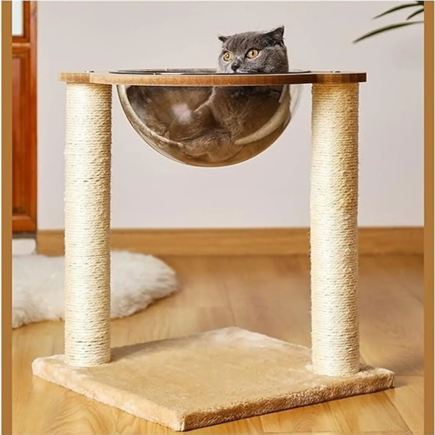 Nido Rascador Cama Para Gato Cápsula Transparente Moderno 4