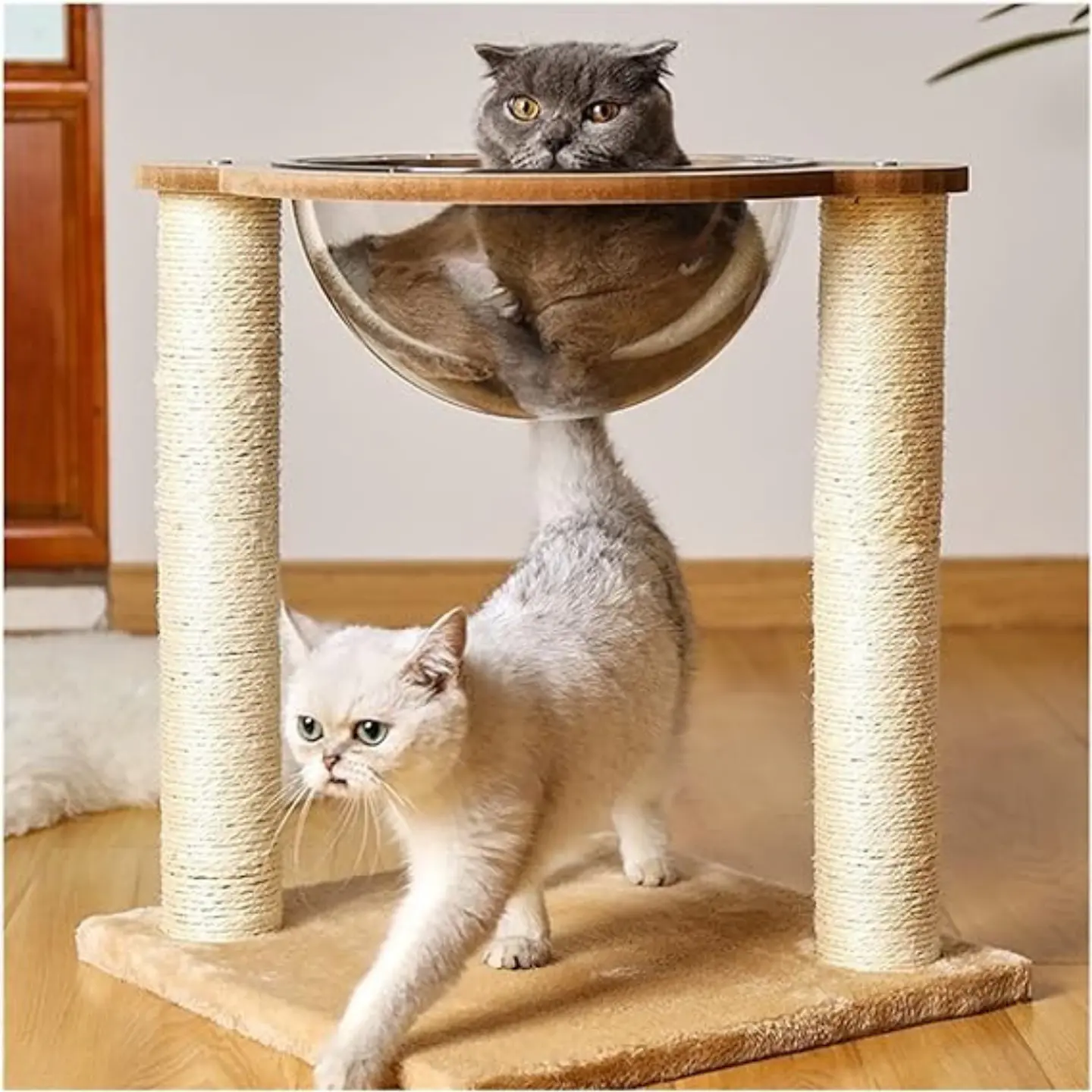 Nido Rascador Cama Para Gato Cápsula Transparente Moderno 2