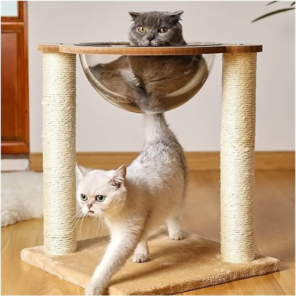 Nido Rascador Cama Para Gato Cápsula Transparente Moderno 2