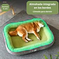Cama Para Mascotas Bordes Acolchados Tamaño Mediano L - Miniatura 3
