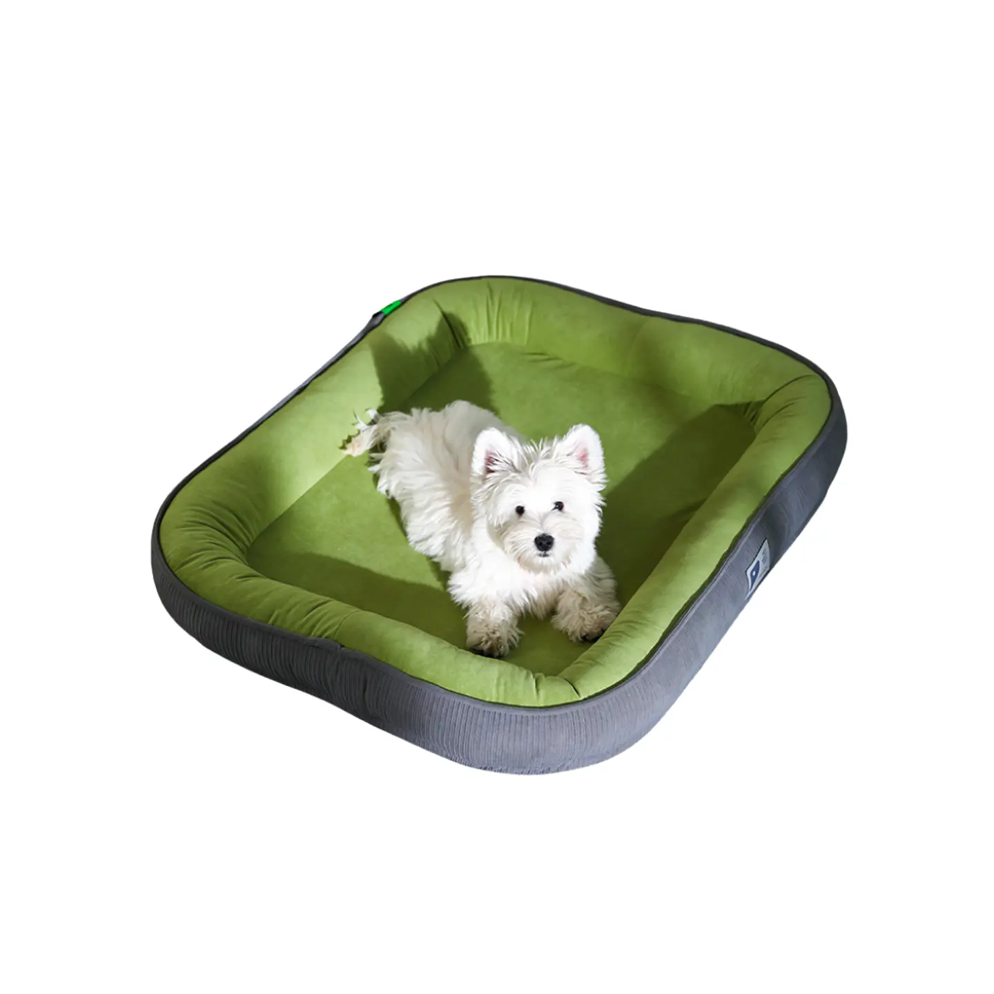 Cama Para Mascotas Bordes Acolchados Tamaño Mediano L 1