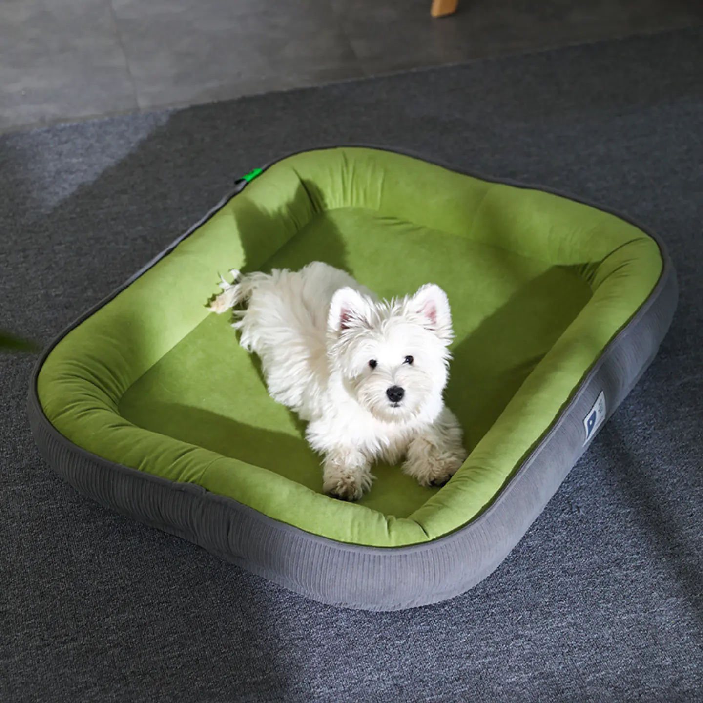 Cama Para Mascotas Bordes Acolchados Tamaño Mediano L 2