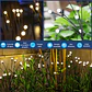 Pack 2 Luces Led En Ramo Energía Solar Exterior - Miniatura 4