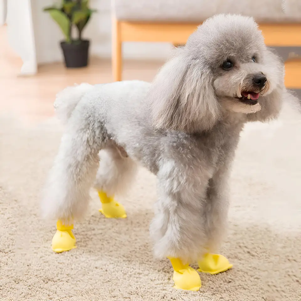 Zapatos Para Perros De Material Impermeable De Silicona 3