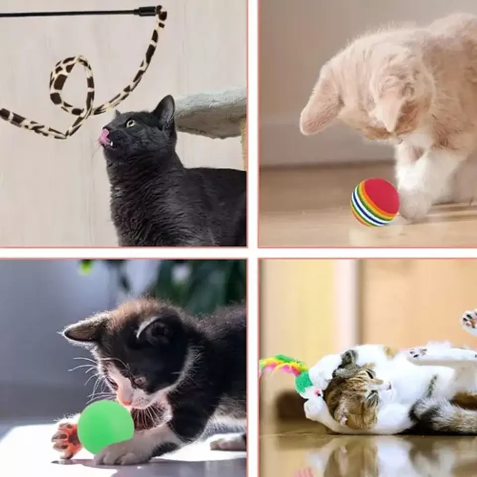 Pack 22 Juguetes Para Gato Interactivo Con Accesorios 2